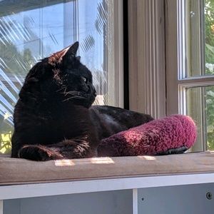 Meet your Posher, Shelley